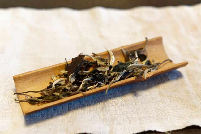 5 redenen waarom witte thee gezond is
